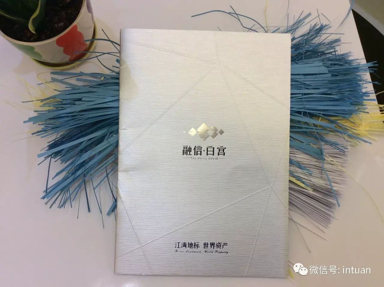 1551335383786828.jpg 0 (3).jpg