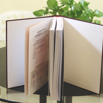 1753759279838338.jpg 169742795351_353x353.jpg